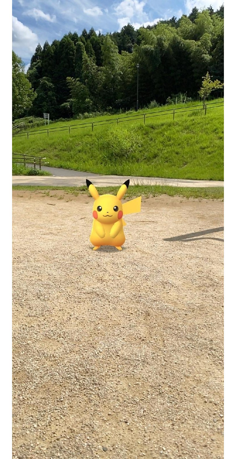 ポケモンgo スタッフ みちおかレディースクリニックスタッフブログ