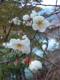 2011022804