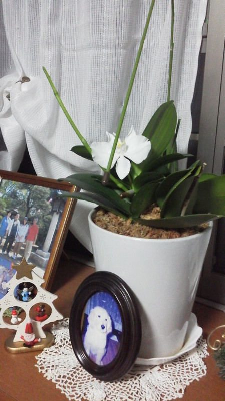 2012120801