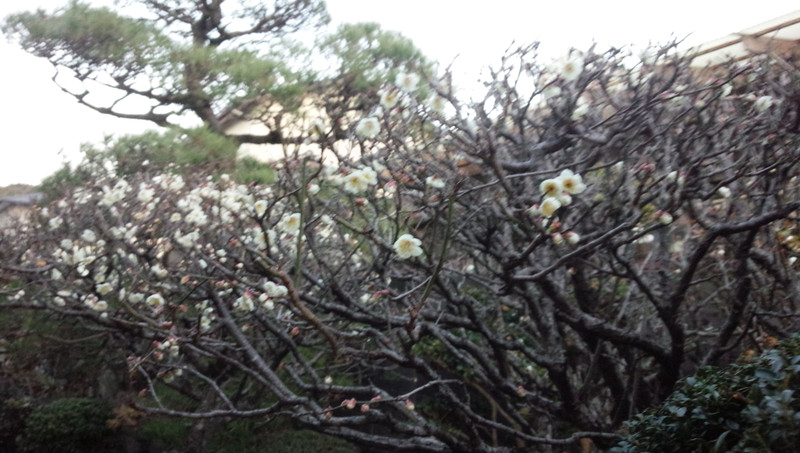 2014022601