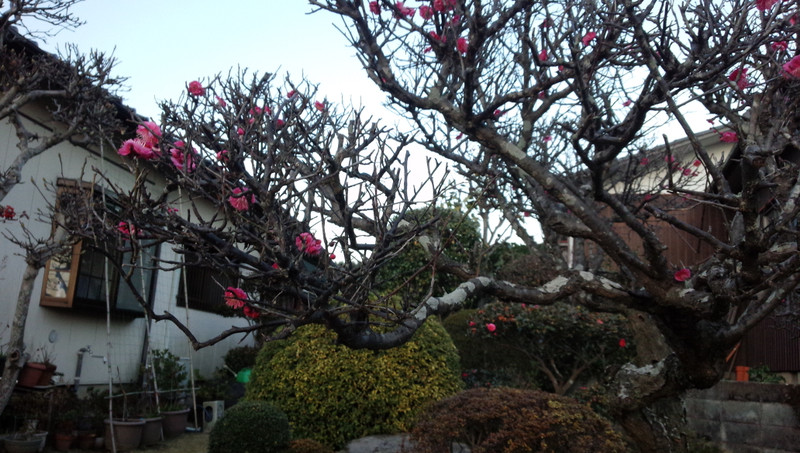 2014022602